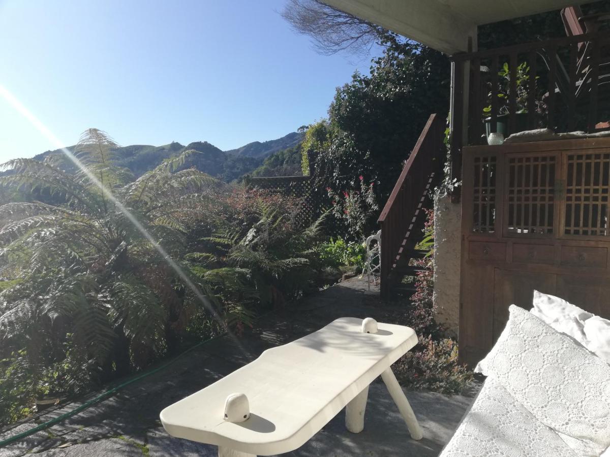 Joya Garden & Villa Studios Nelson Extérieur photo